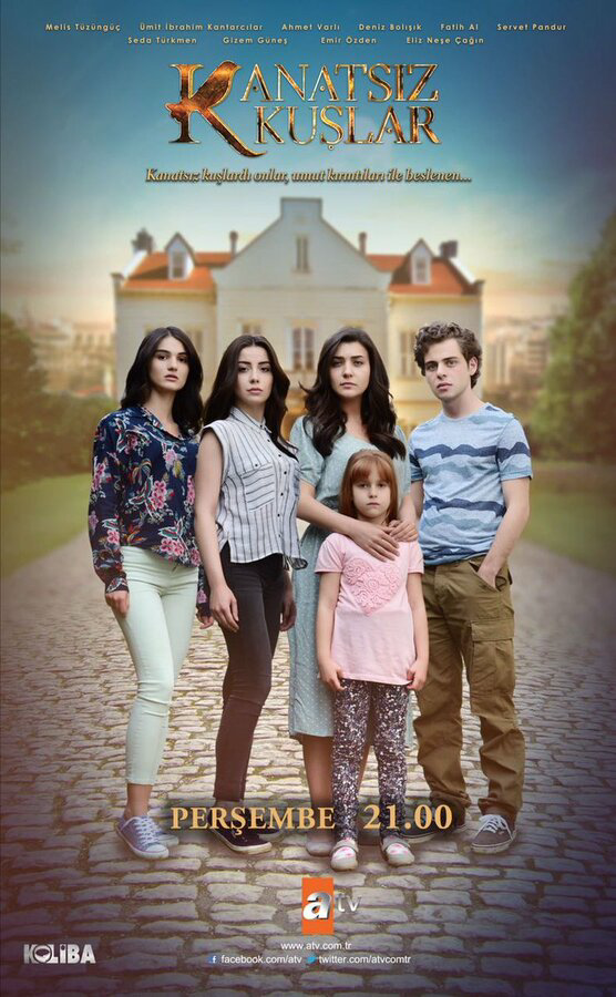 Птицы без крыльев - постер сериала